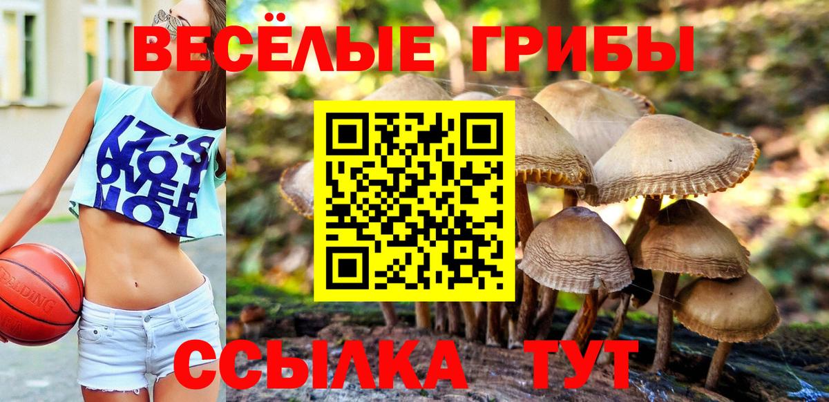Галлюциногенные грибы ЛСД Черняховск